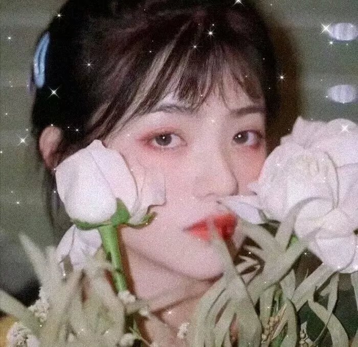 死心不息